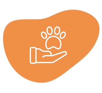Paw In Hand Icon